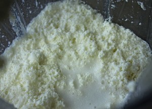 butter in vitamix