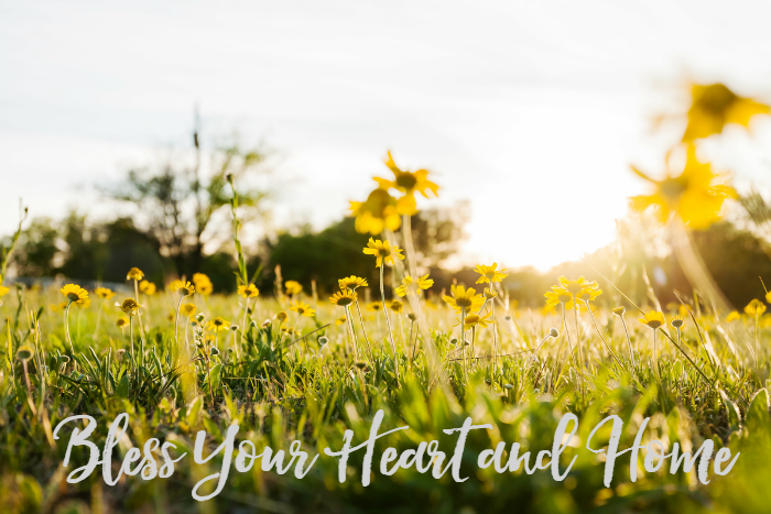 Six Scriptural Answers to the Question WHY Bless Your Heart and Home